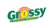 logo - Grossy