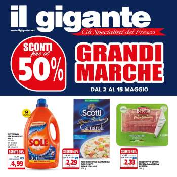 thumbnail - Volantino Il Gigante - Grandi Marche
