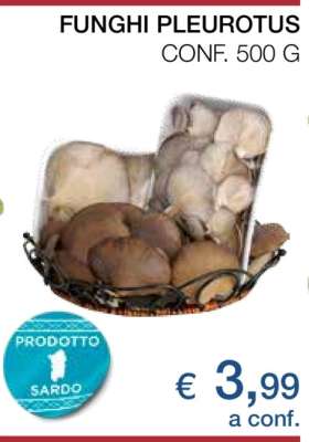 FUNGHI PLEUROTUS