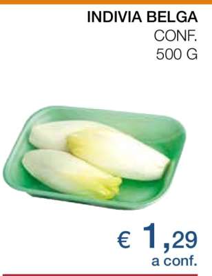 INDIVIA BELGA