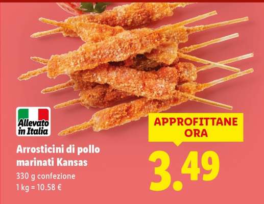 Arrosticini di pollo marinati Kansas