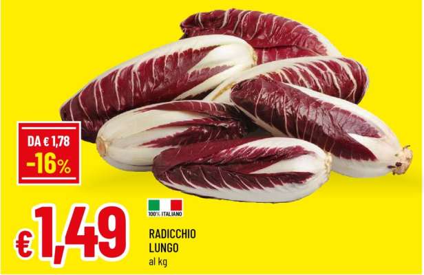 RADICCHIO LUNGO