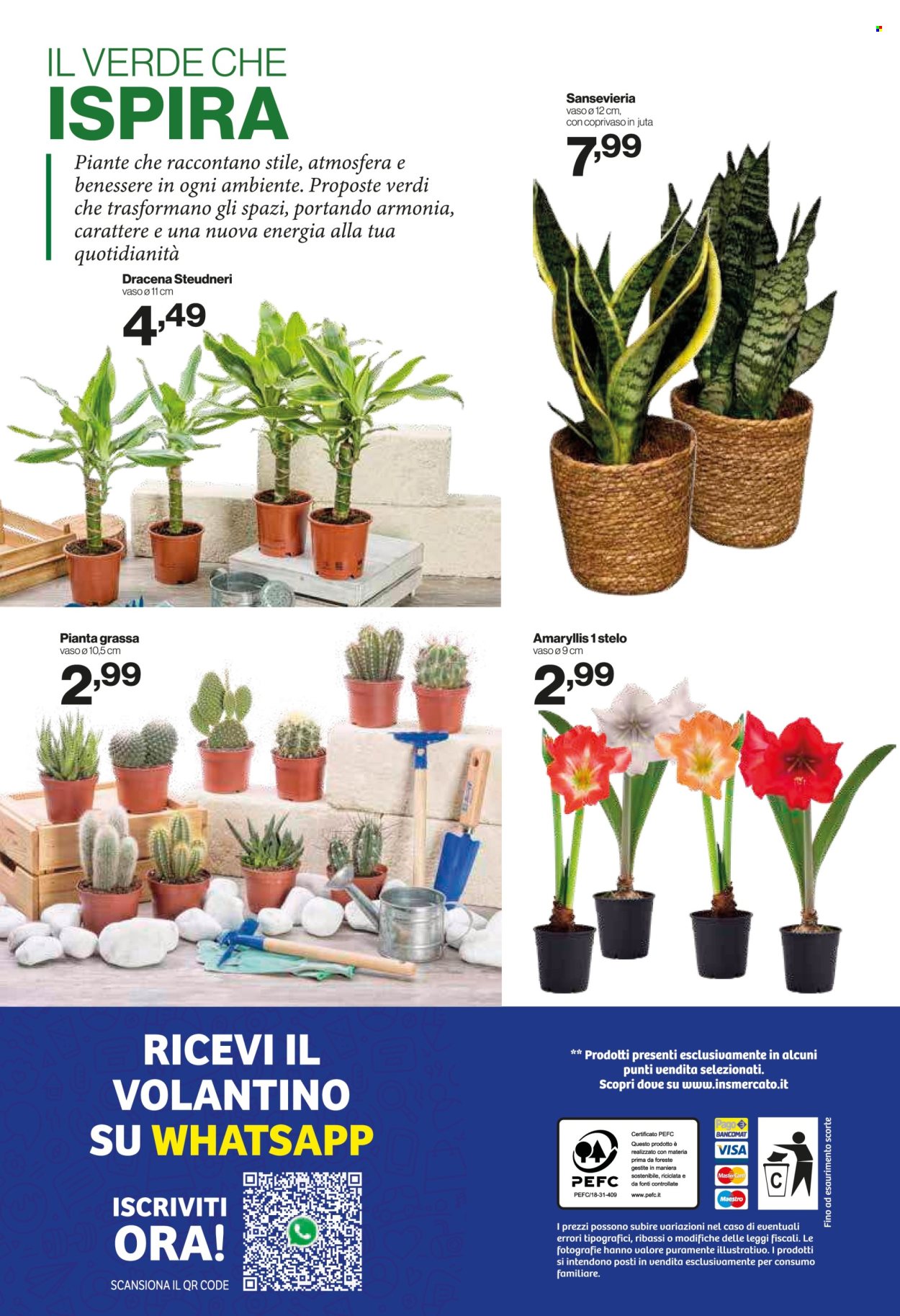 Volantino iN's Mercato - 31/12/2025 - 11/1/2026. Pagina 24