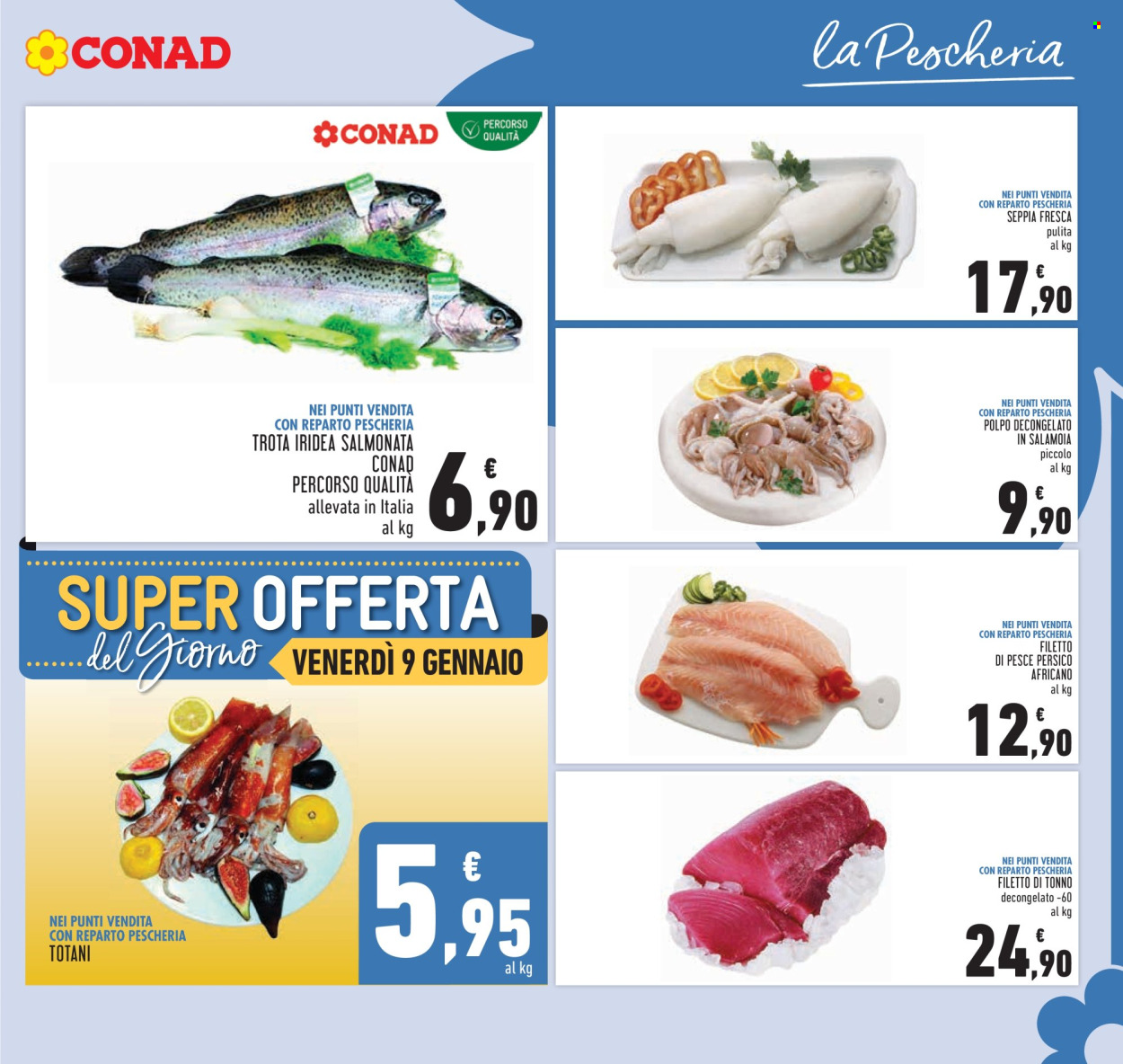 Volantino Conad - 7/1/2026 - 13/1/2026. Pagina 7