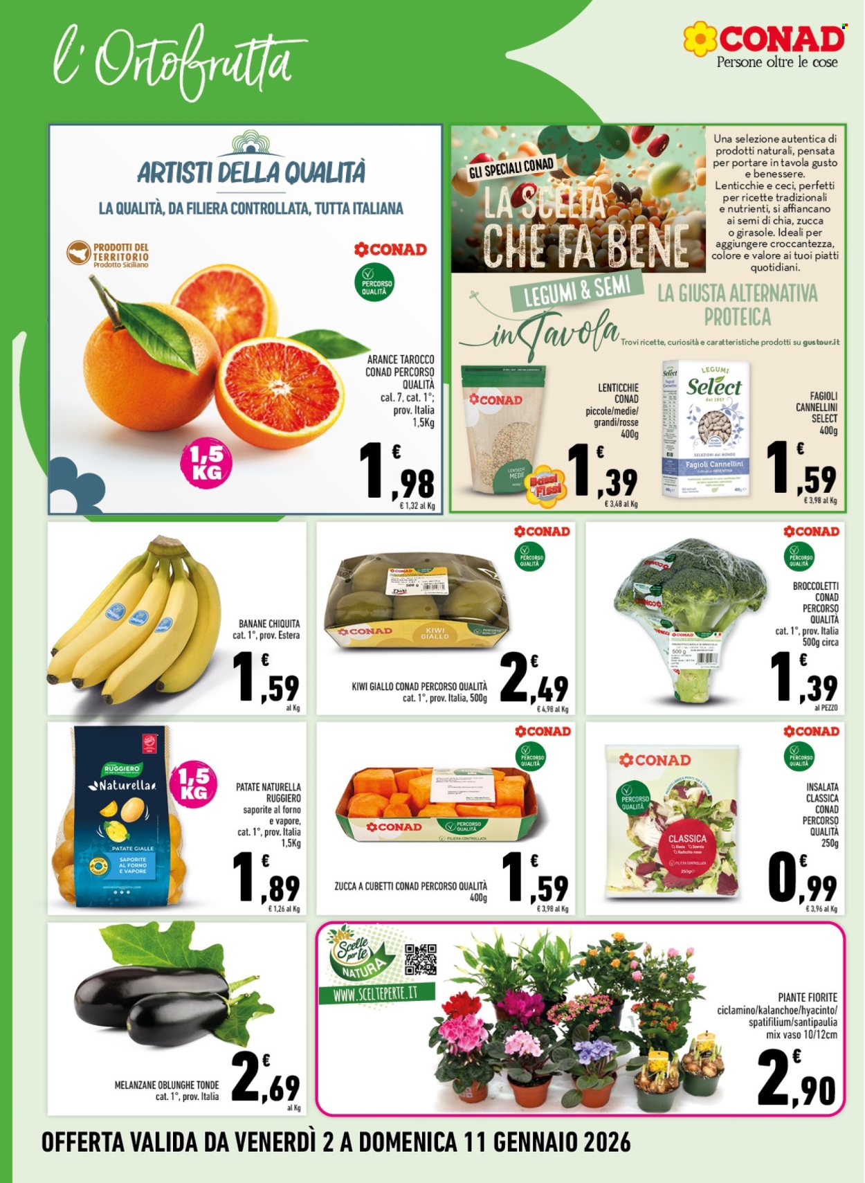Volantino Margherita Conad - 2/1/2026 - 11/1/2026. Pagina 2