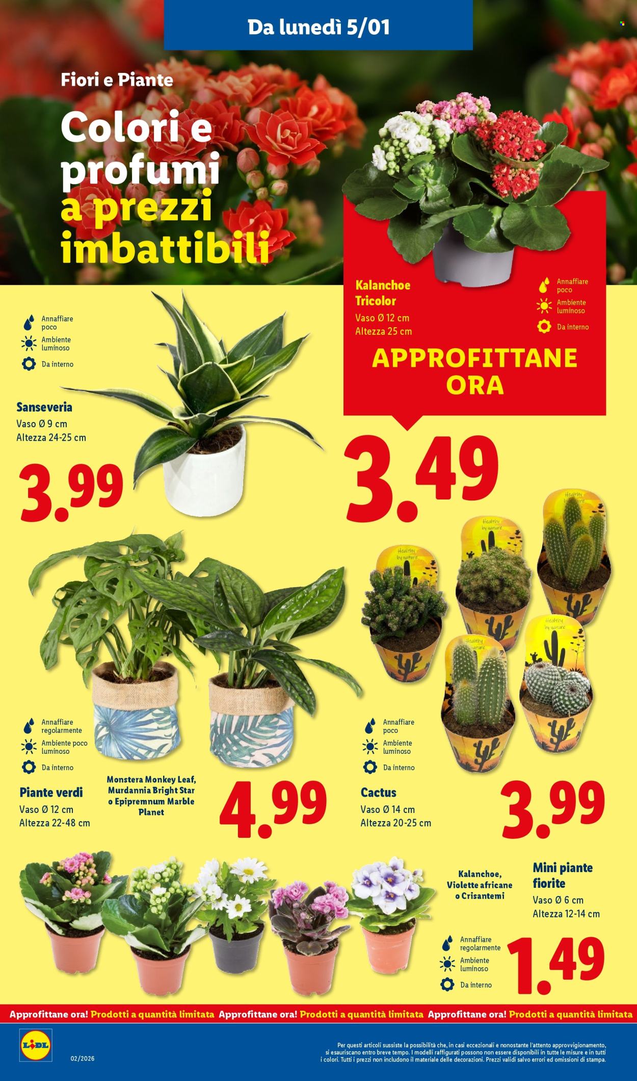 Volantino Lidl - 5/1/2026 - 11/1/2026. Pagina 36