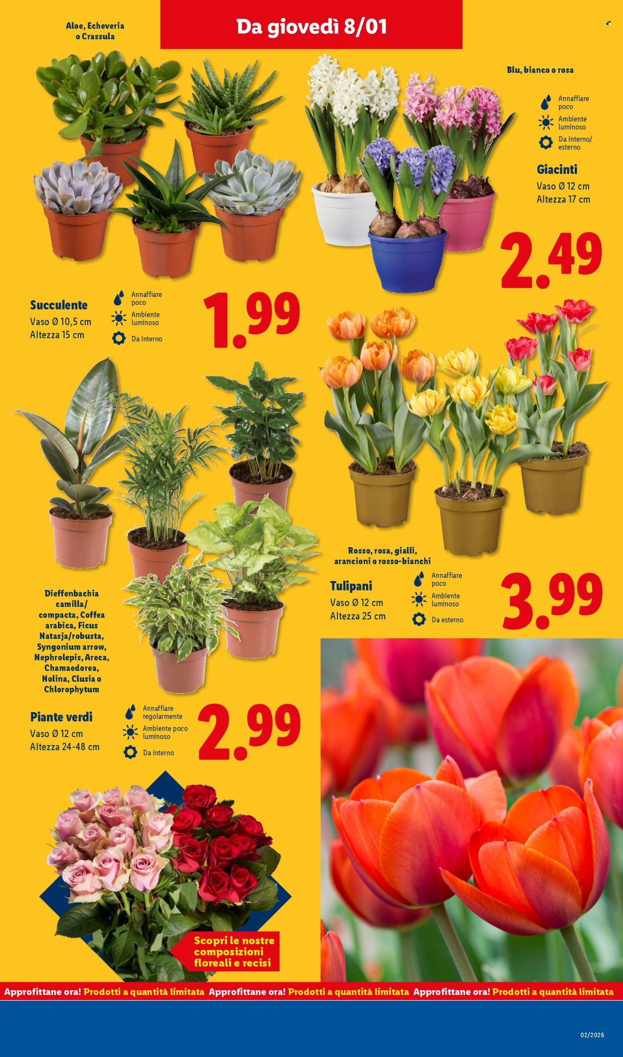Volantino Lidl - 5/1/2026 - 11/1/2026. Pagina 37