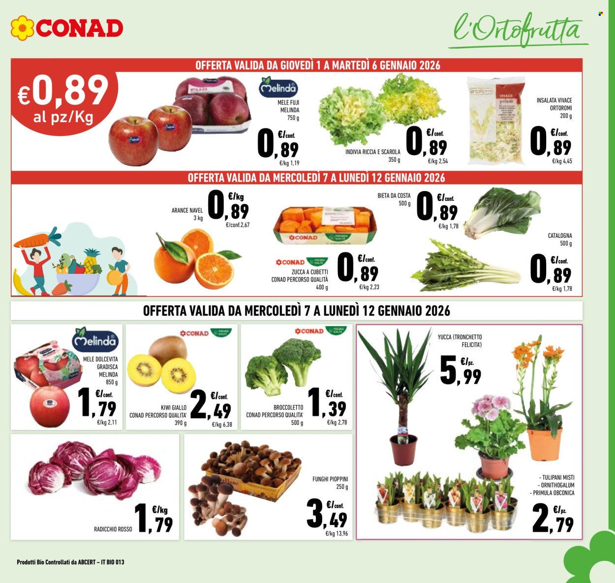 Volantino Conad - 1/1/2026 - 12/1/2026. Pagina 3