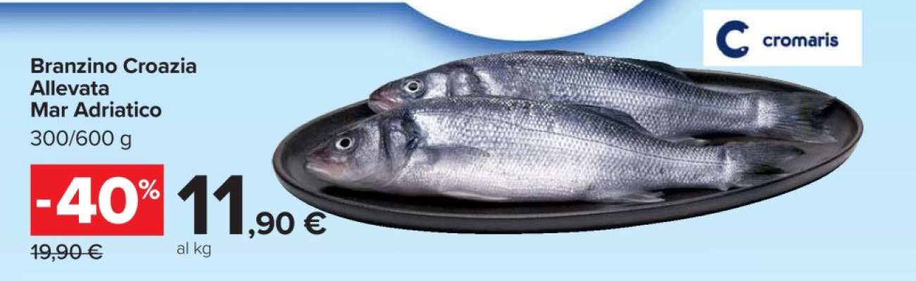 Branzino Croazia Allevata Mar Adriatico