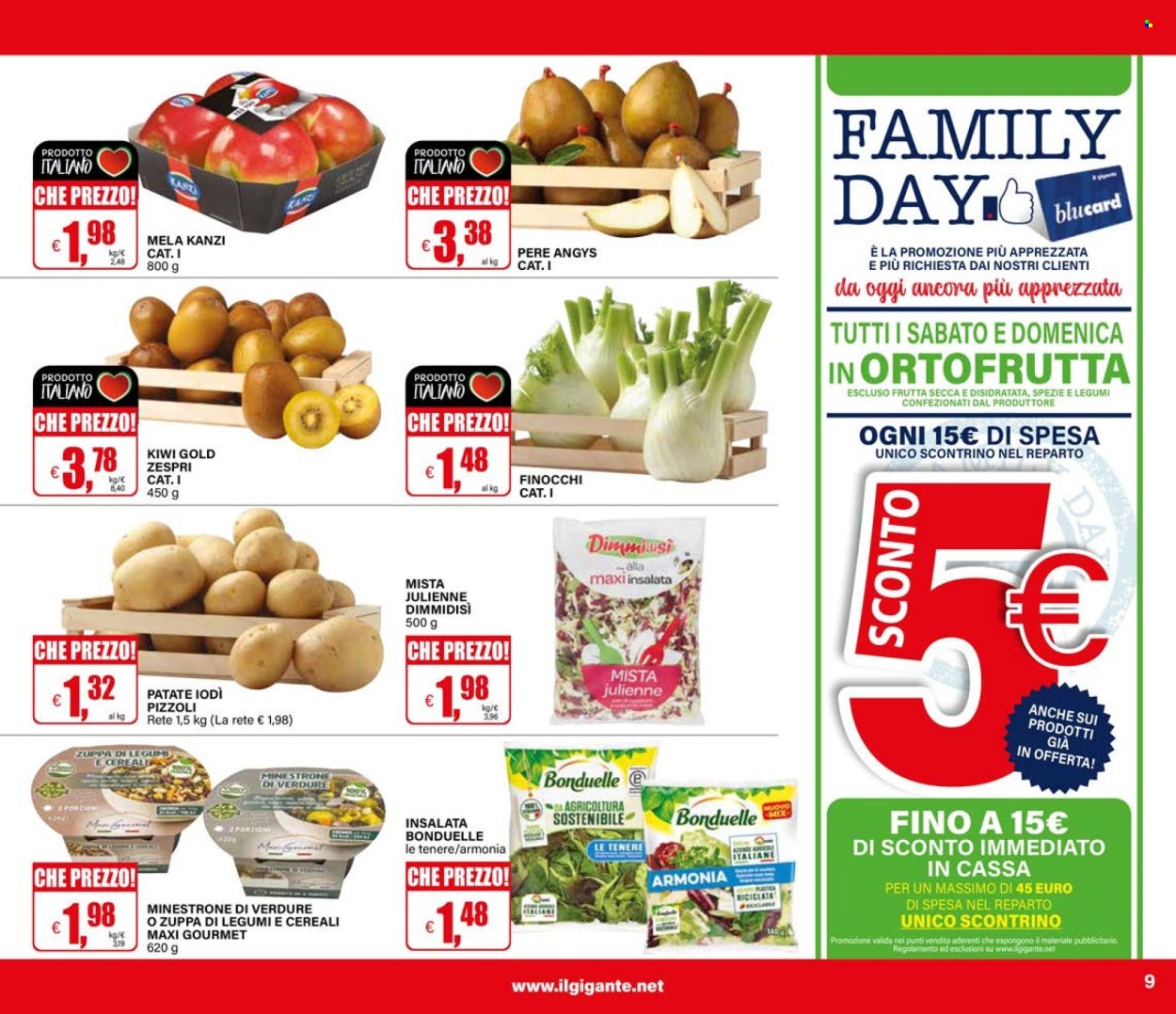 Volantino Il Gigante - 2/1/2026 - 14/1/2026. Pagina 9