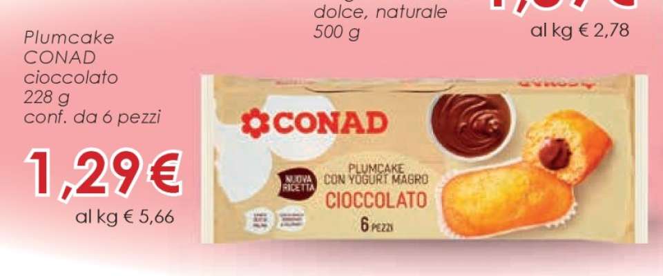PLUMCAKE CONAD cioccolato