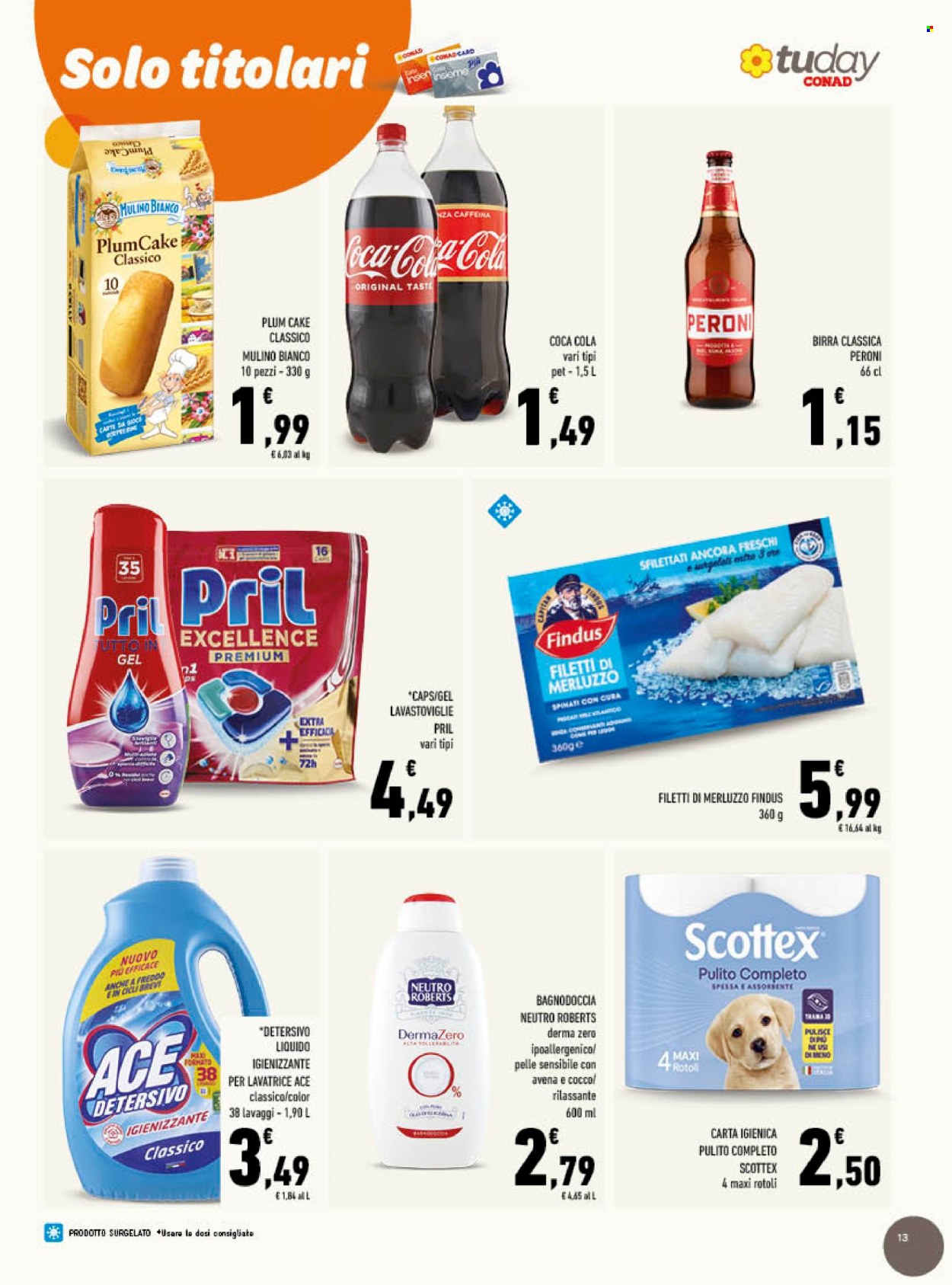 Volantino TuDay Conad - 7/1/2026 - 27/1/2026. Pagina 13