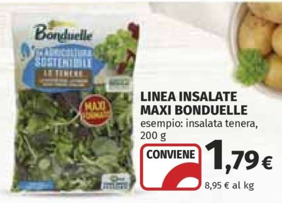 LINEA INSALATE MAXI BONDUELLE