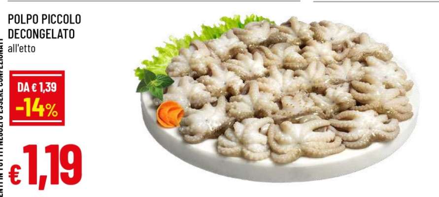 POLPO PICCOLO DECONGELATO