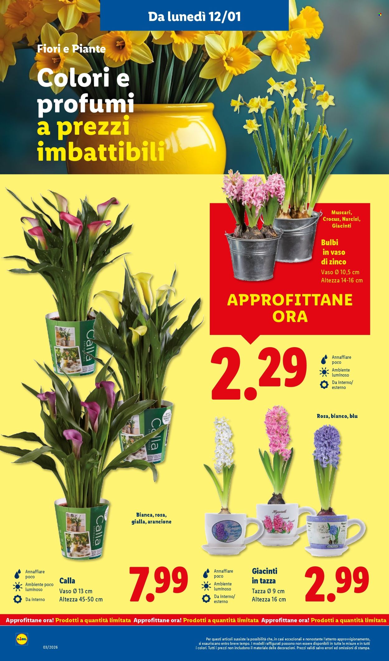 Volantino Lidl - 12/1/2026 - 18/1/2026. Pagina 38