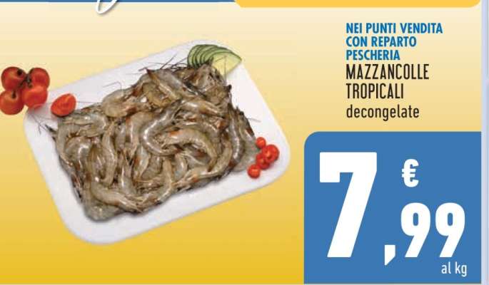 MAZZANCOLLE TROPICALI