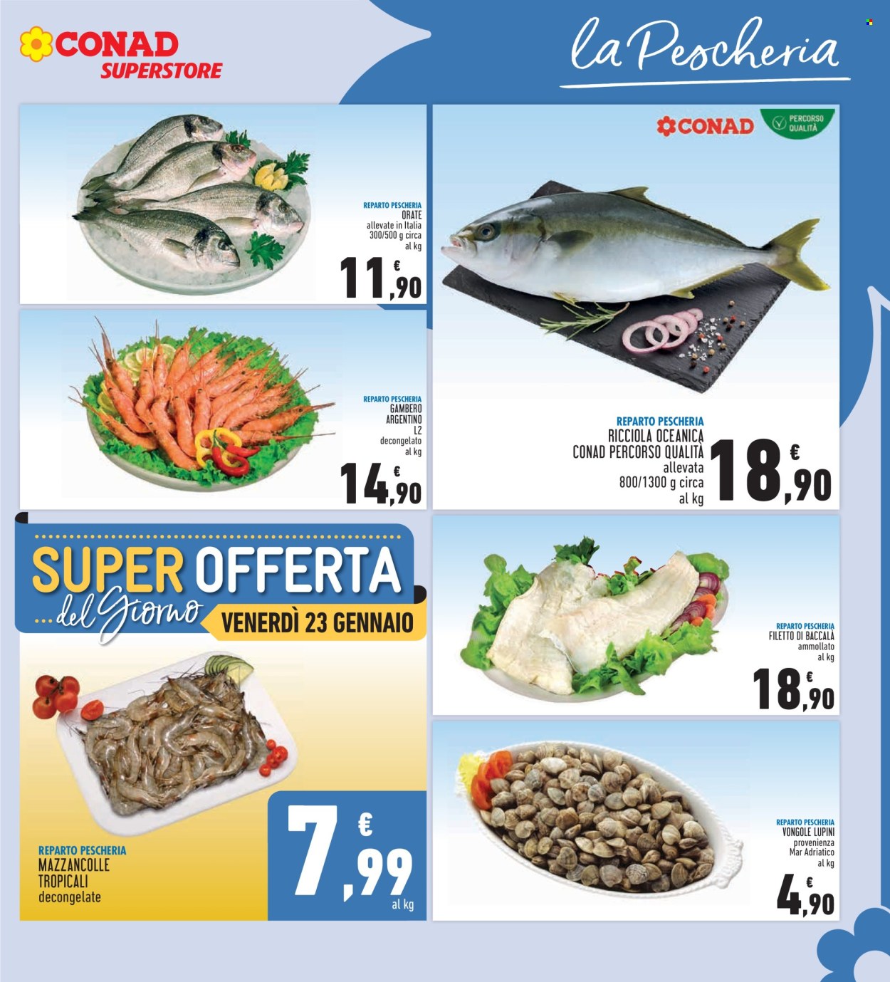 Volantino Conad - 14/1/2026 - 28/1/2026. Pagina 9