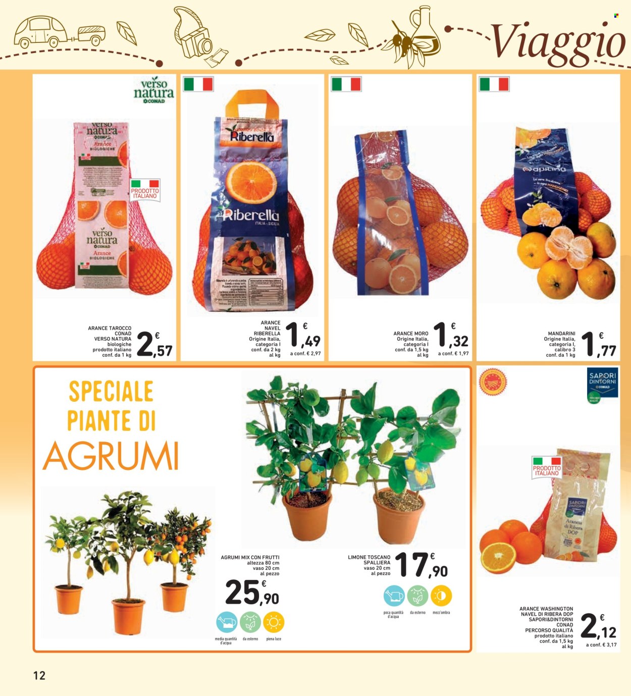 Volantino Spazio Conad - 16/1/2026 - 29/1/2026. Pagina 12