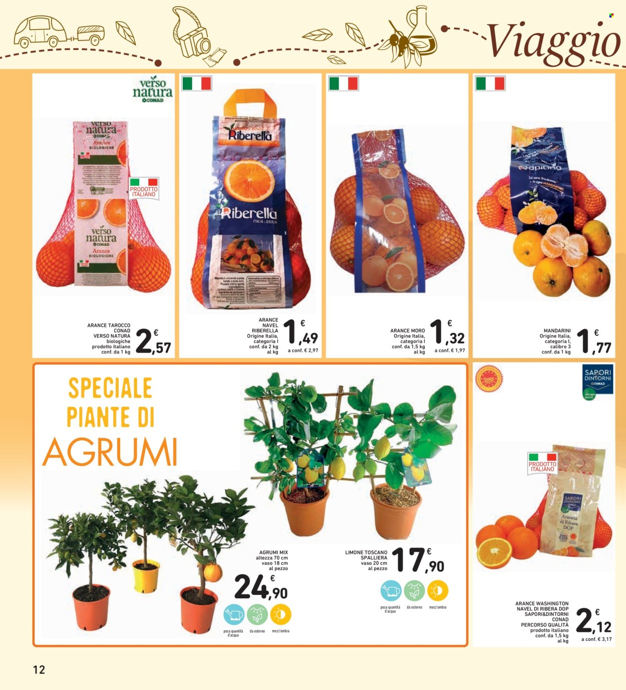 Volantino Spazio Conad - 16/1/2026 - 29/1/2026. Pagina 12