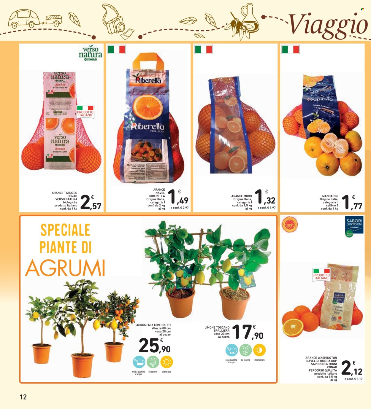 Volantino Spazio Conad - 16/1/2026 - 29/1/2026. Pagina 12