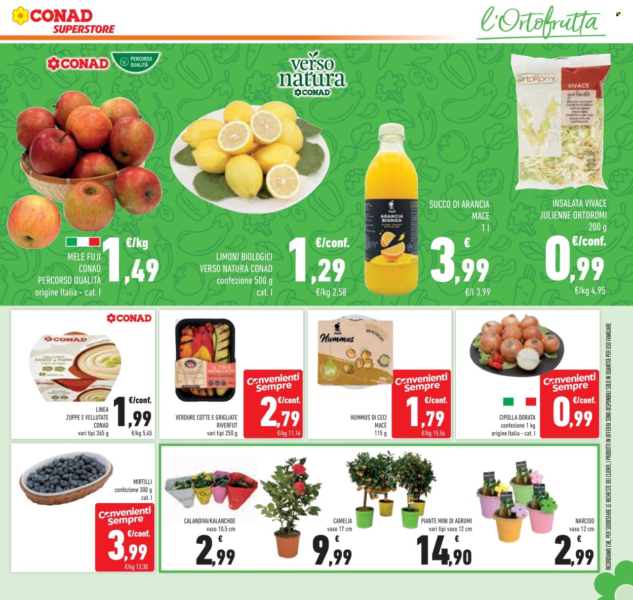 Volantino Conad Superstore - 14/1/2026 - 28/1/2026. Pagina 23