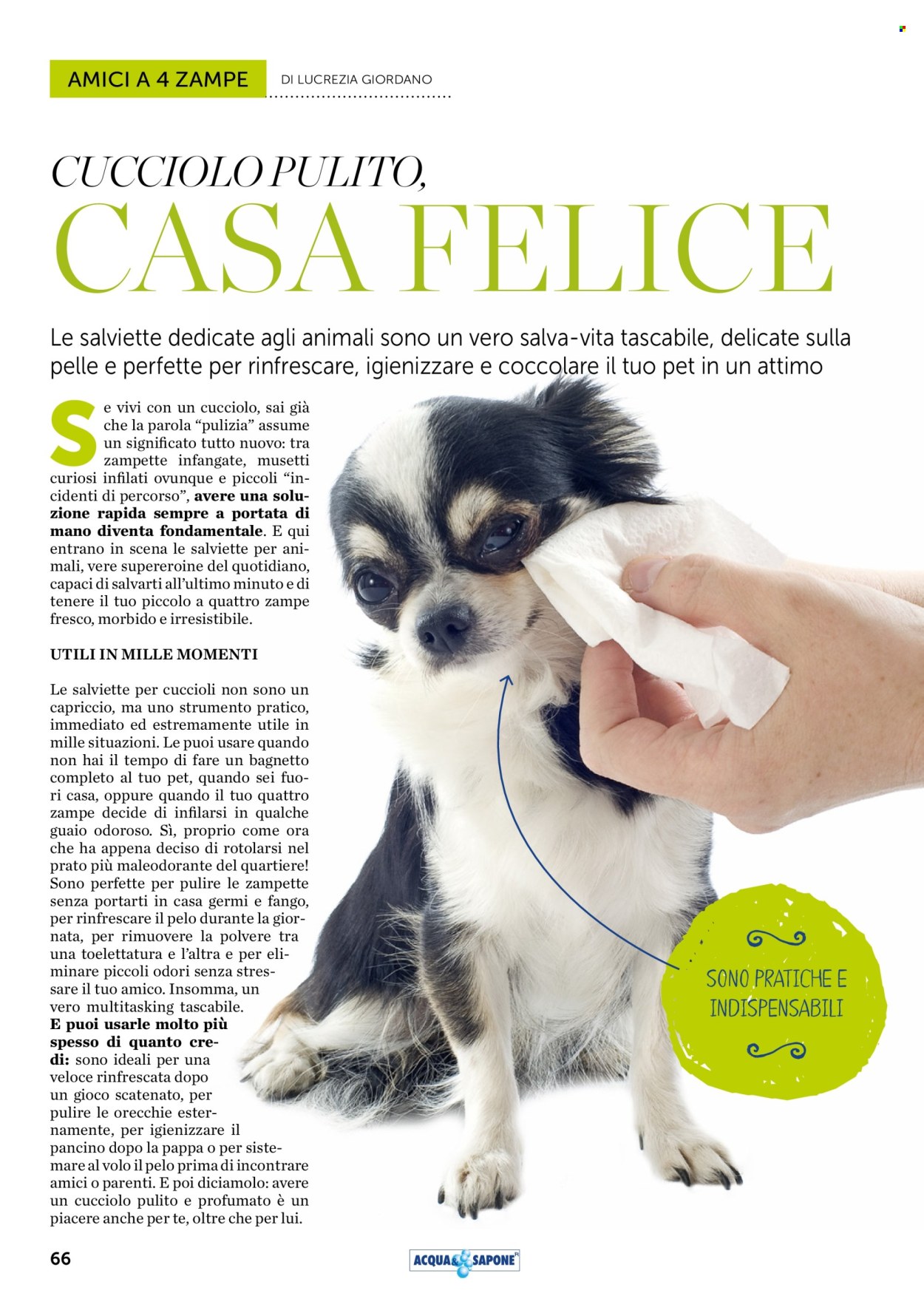 Volantino Acqua & Sapone - 1/1/2026 - 31/1/2026. Pagina 66