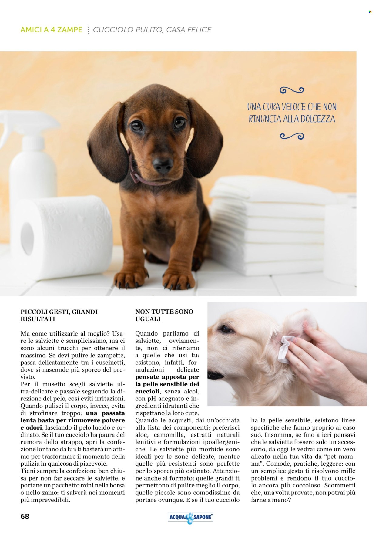 Volantino Acqua & Sapone - 1/1/2026 - 31/1/2026. Pagina 68