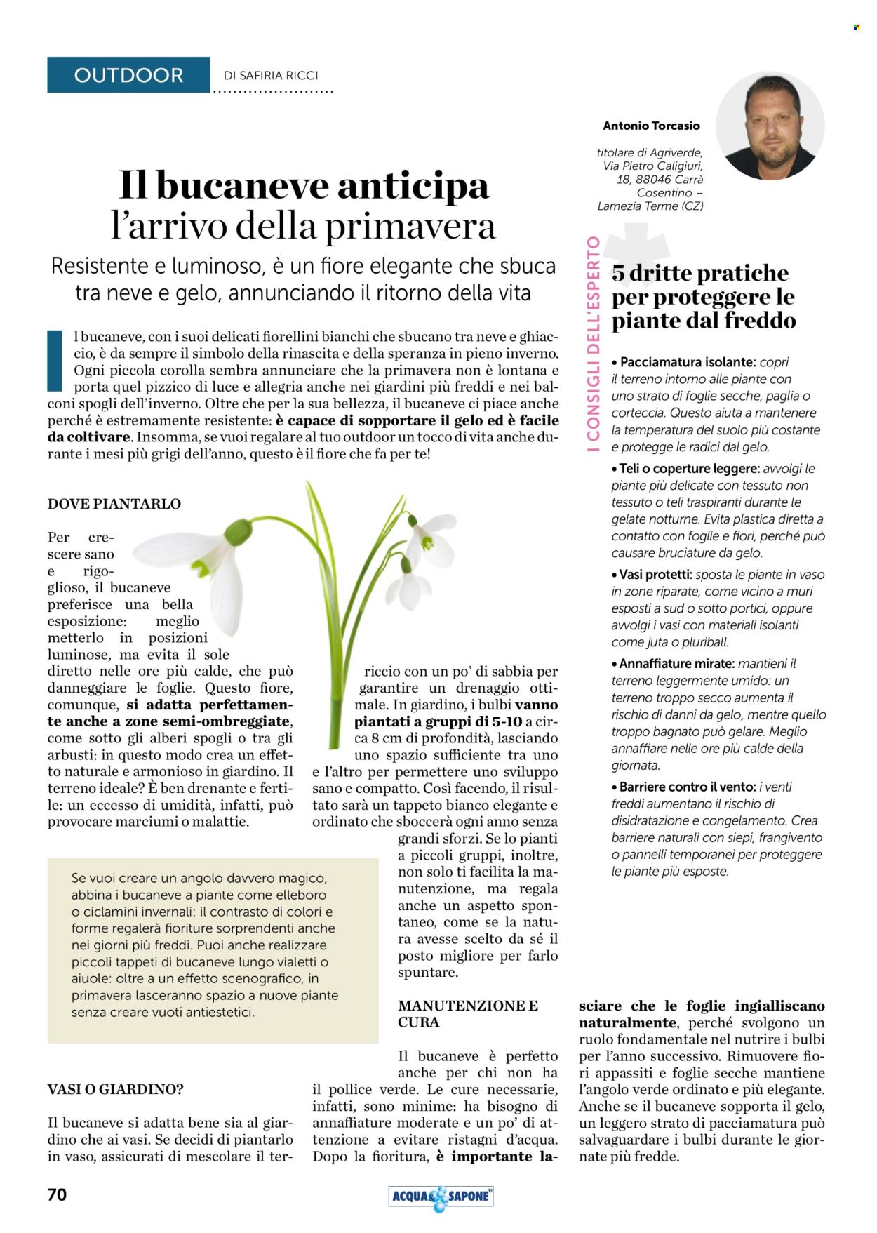 Volantino Acqua & Sapone - 1/1/2026 - 31/1/2026. Pagina 70