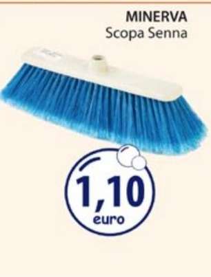 MINERVA Scopa Senna
