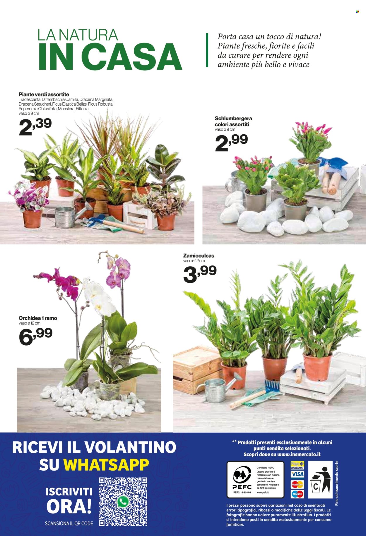 Volantino iN's Mercato - 14/1/2026 - 25/1/2026. Pagina 24