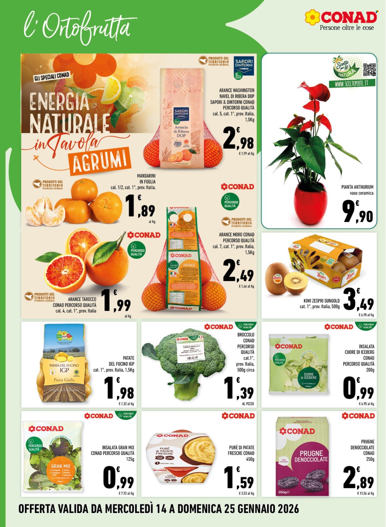 Volantino Margherita Conad - 14/1/2026 - 25/1/2026. Pagina 4