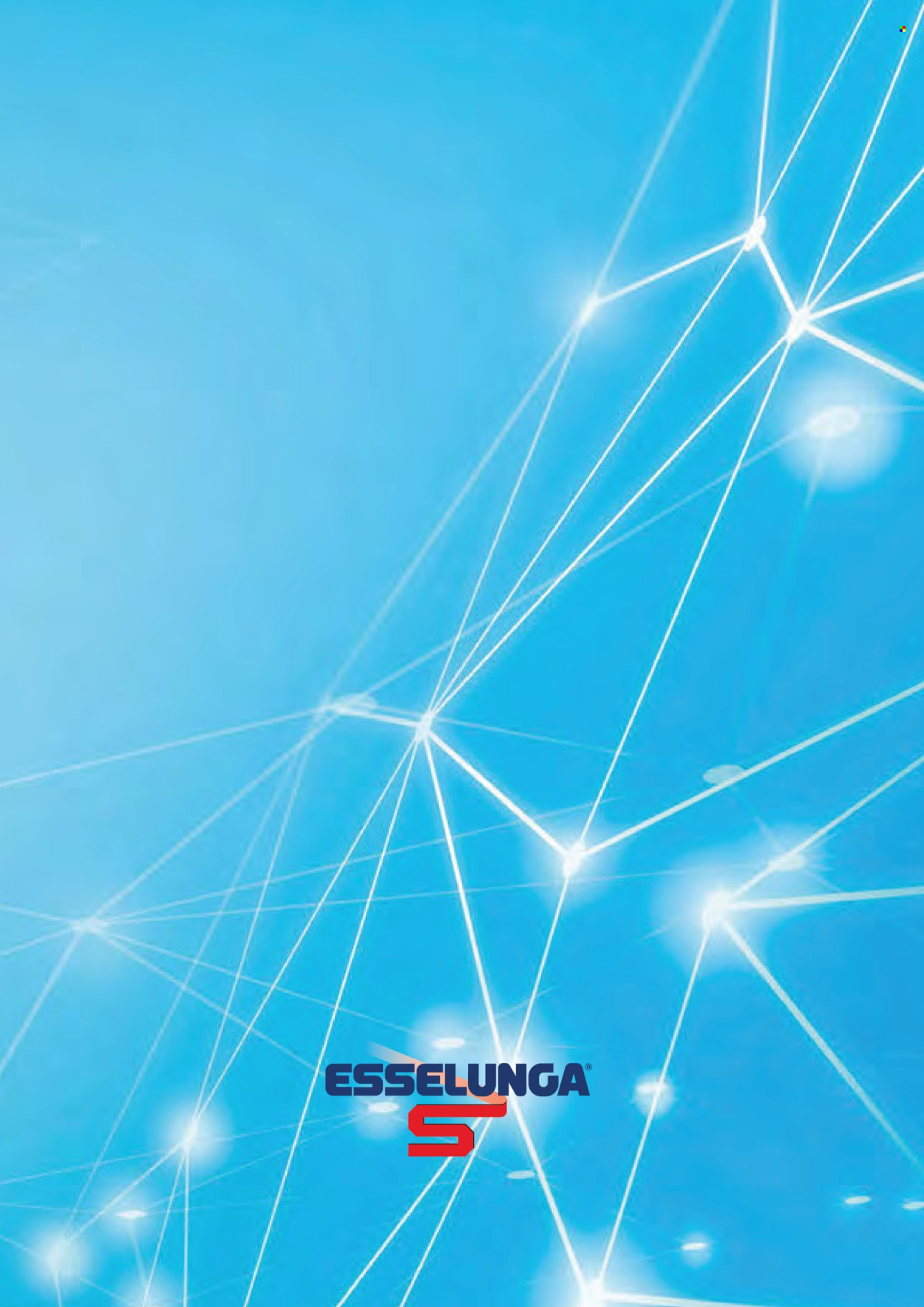 Volantino Esselunga - 13/1/2026 - 1/2/2026. Pagina 14