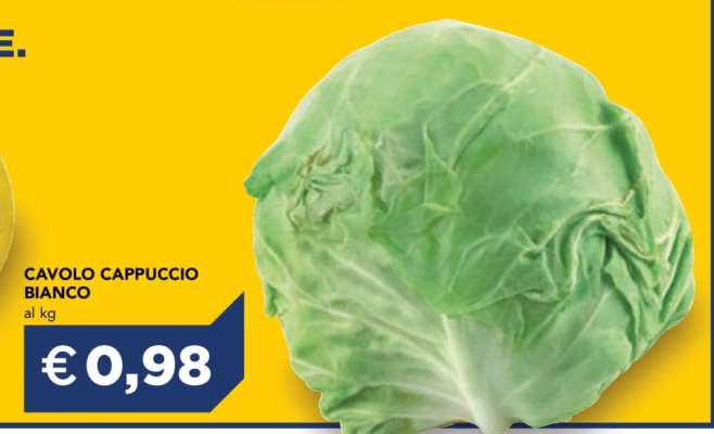 Cavolo Cappuccio Bianco