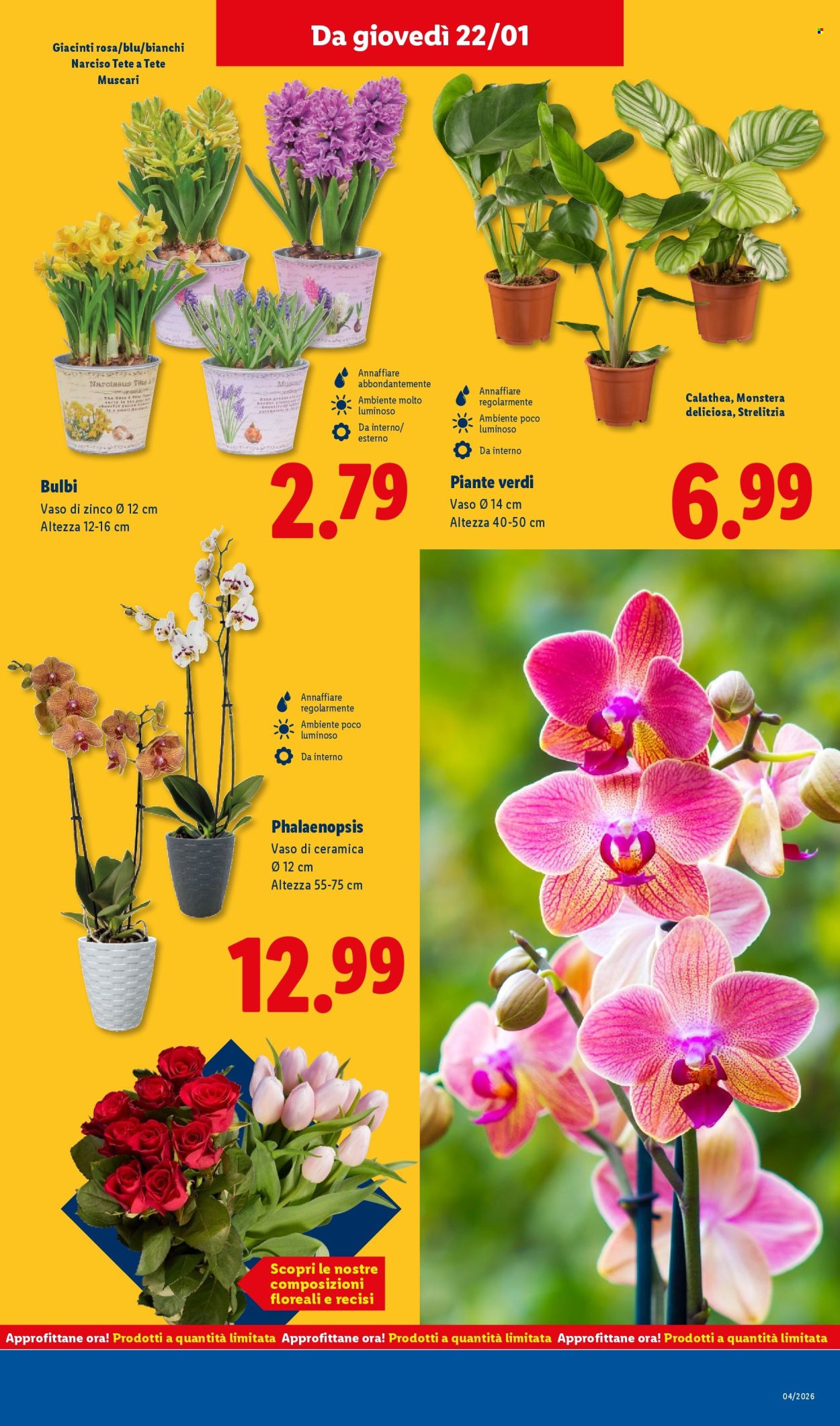 Volantino Lidl - 19/1/2026 - 25/1/2026. Pagina 39