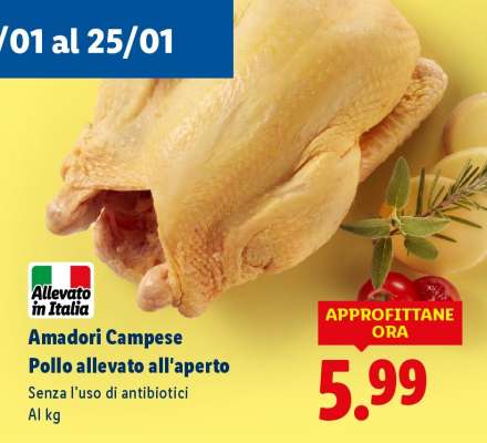 Amadori Campese Pollo allevato all'aperto