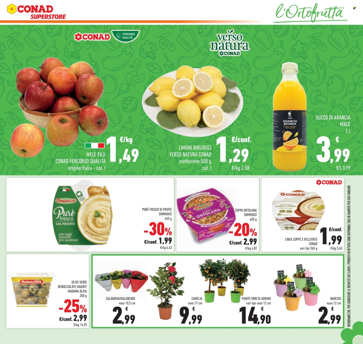 Volantino Conad Superstore - 14/1/2026 - 28/1/2026. Pagina 13