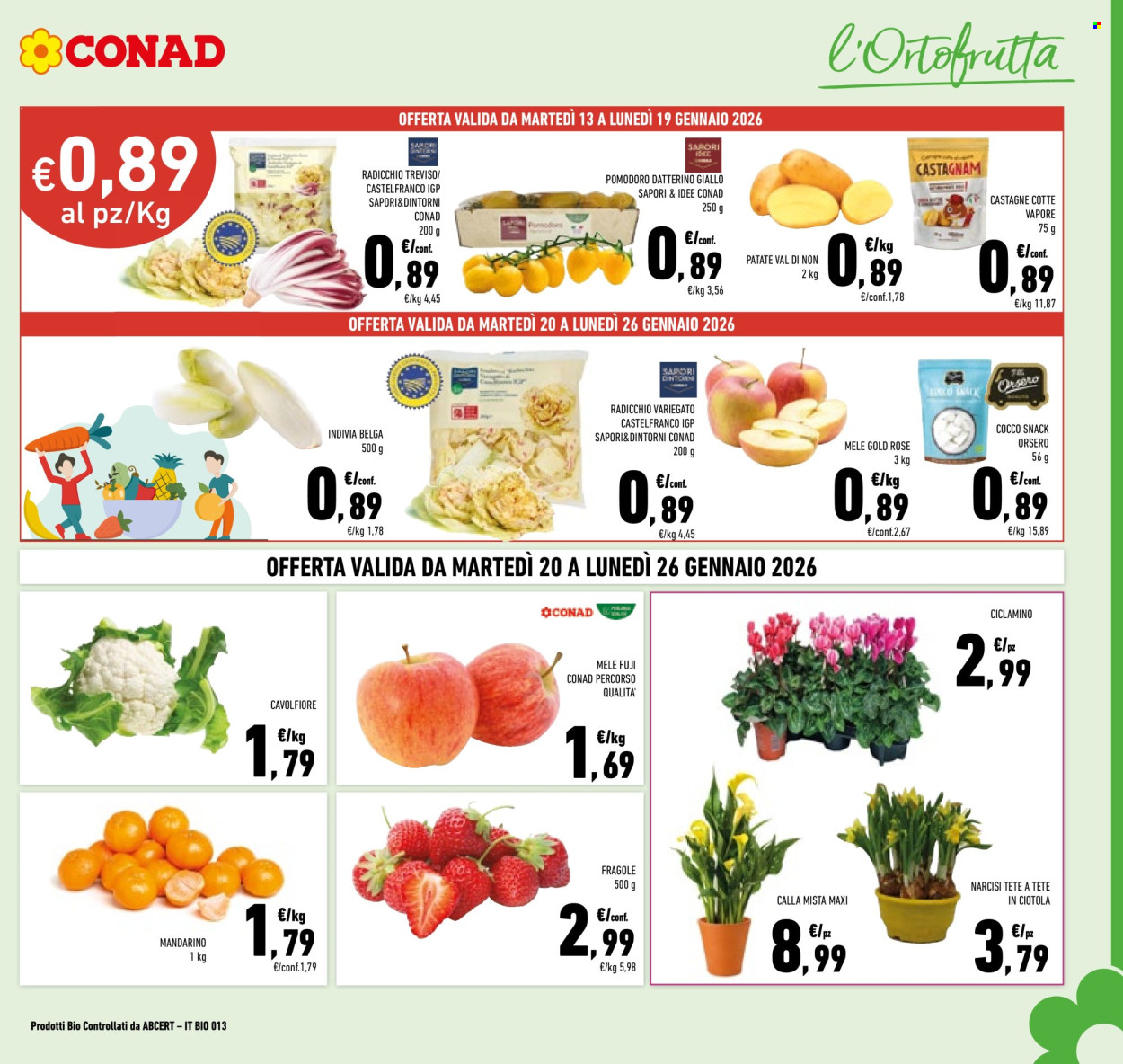 Volantino Conad - 13/1/2026 - 26/1/2026. Pagina 3
