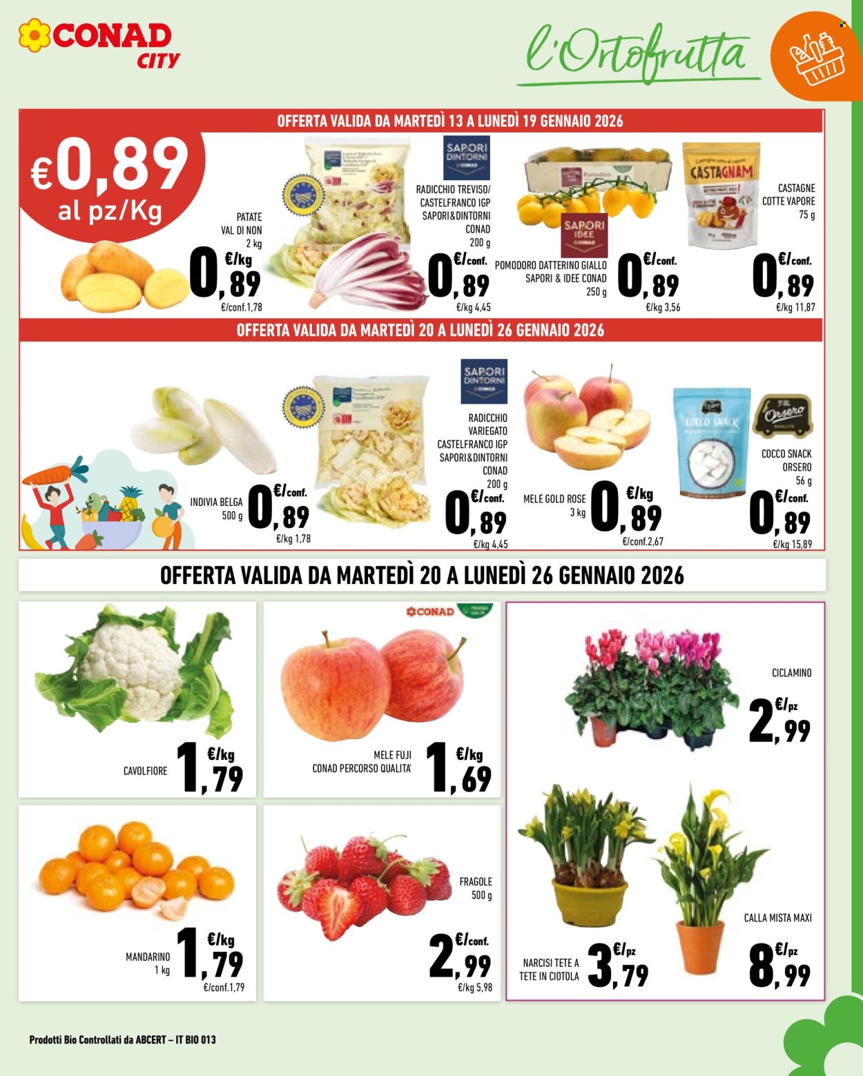 Volantino Conad - 13/1/2026 - 26/1/2026. Pagina 7
