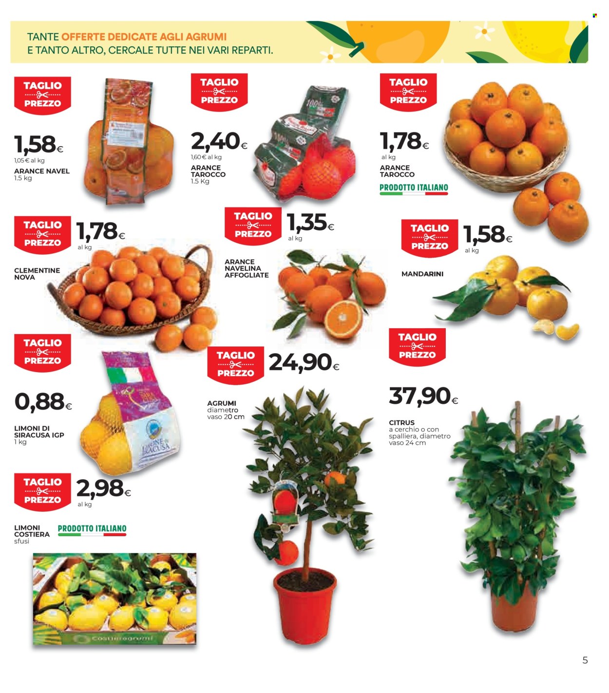 Volantino Coop - 15/1/2026 - 28/1/2026. Pagina 5