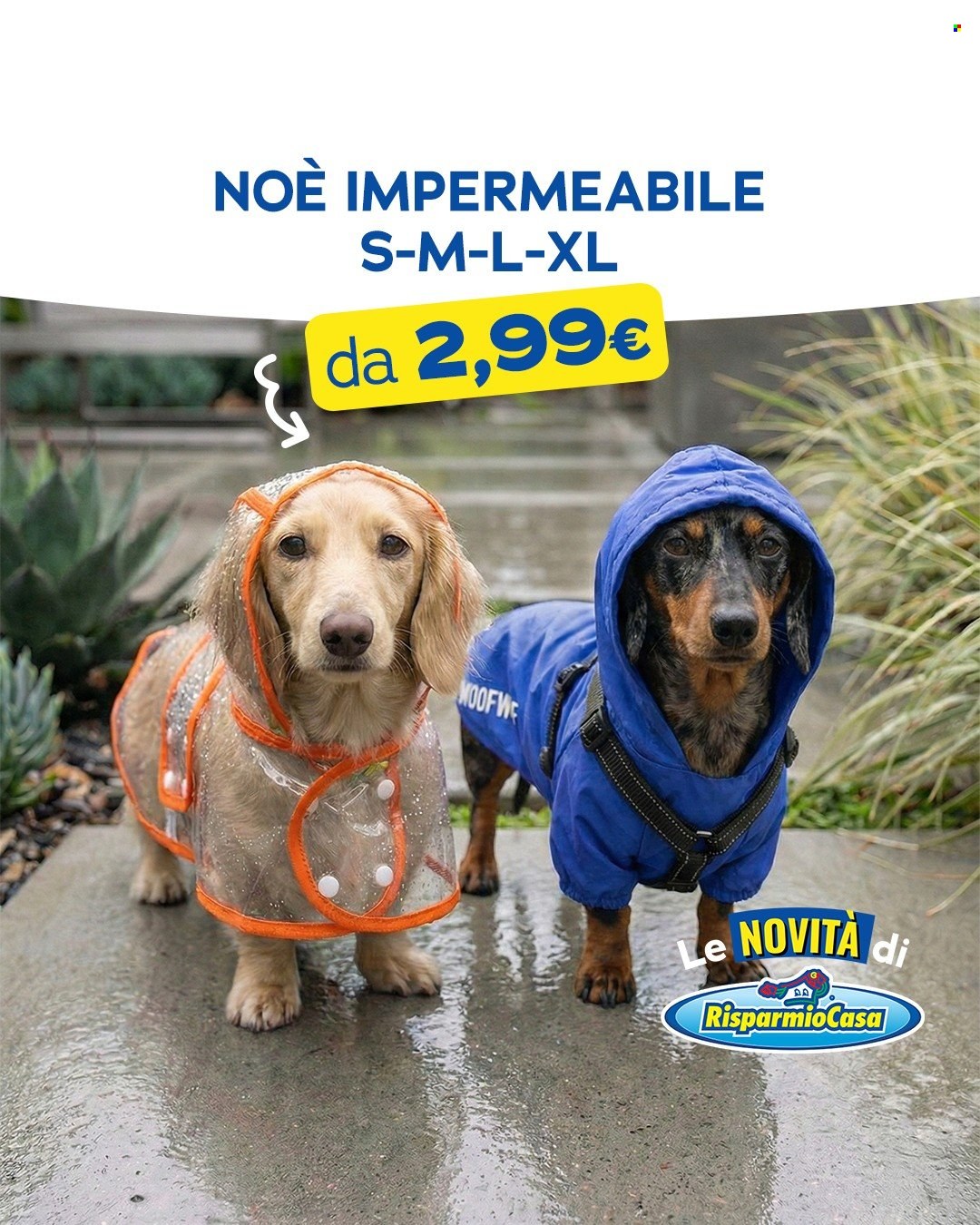 Volantino Risparmio Casa. Pagina 2