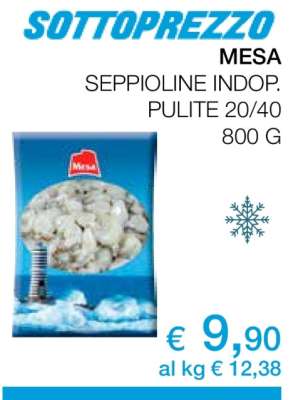 MESA SEPPIOLINE INDOP. PULITE 20/40
