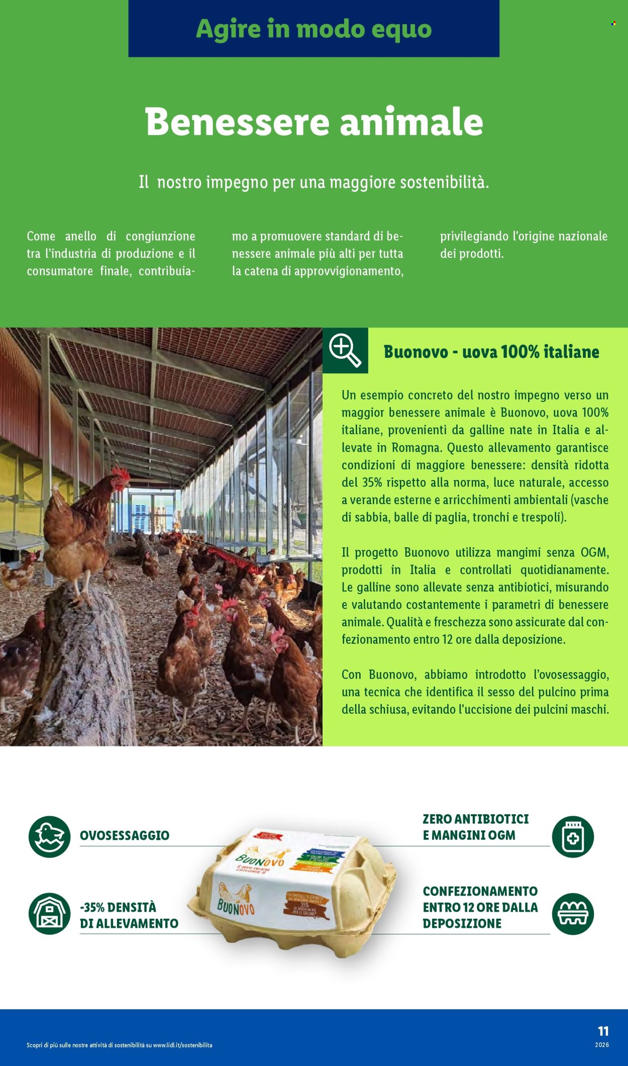 Volantino Lidl. Pagina 11