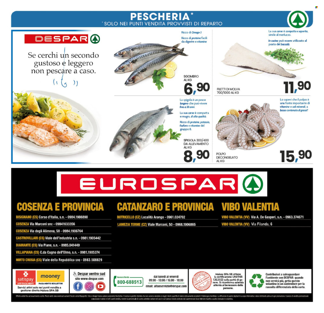 Volantino Eurospar - 20/1/2026 - 28/1/2026. Pagina 29