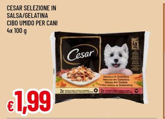 CESAR SELEZIONE IN SALSA/GELATINA CIBO UMIDO PER CANI