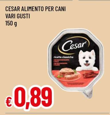 CESAR ALIMENTO PER CANI VARI GUSTI