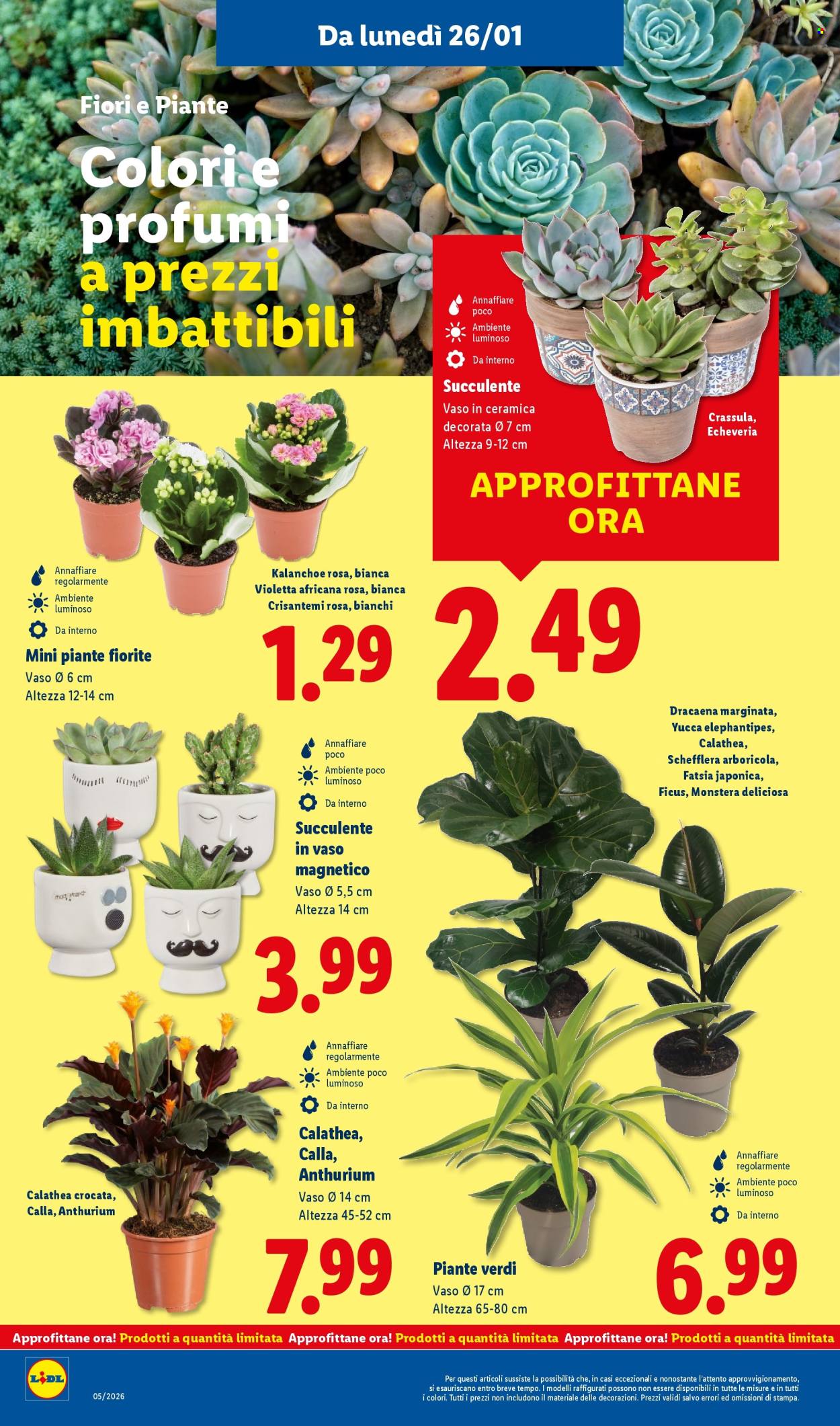 Volantino Lidl - 26/1/2026 - 1/2/2026. Pagina 38