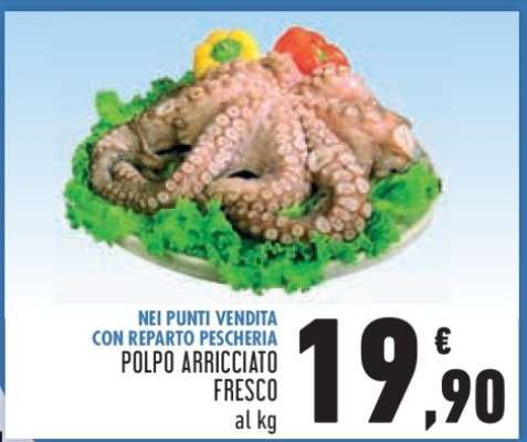 Polpo Arricciato Fresco