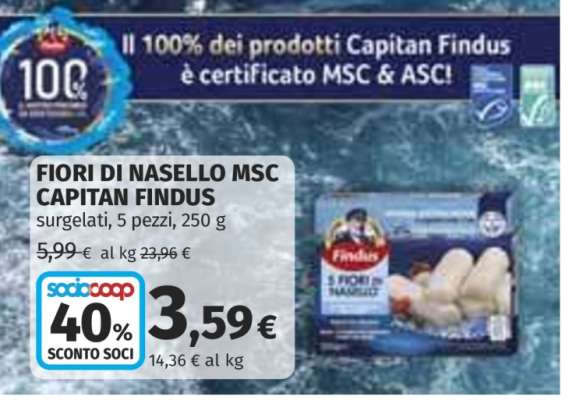 FIORI DI NASELLO MSC CAPITAN FINDUS