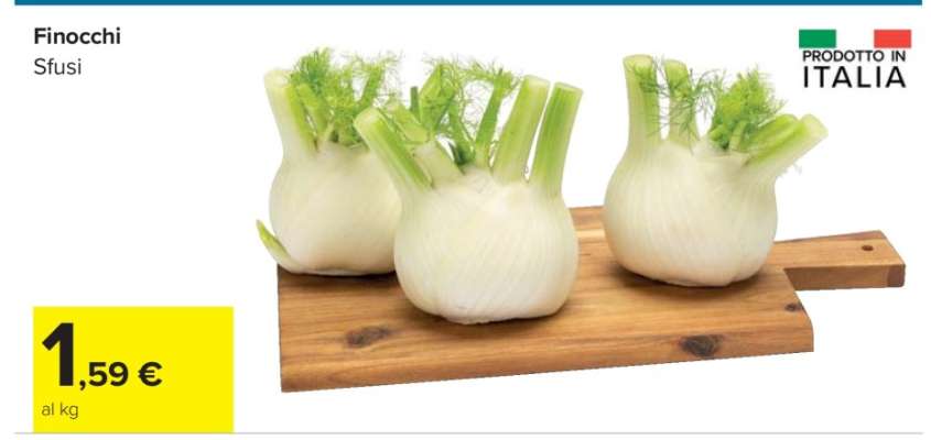 Finocchi
