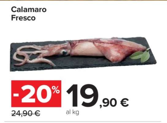CALAMARO FRESCO